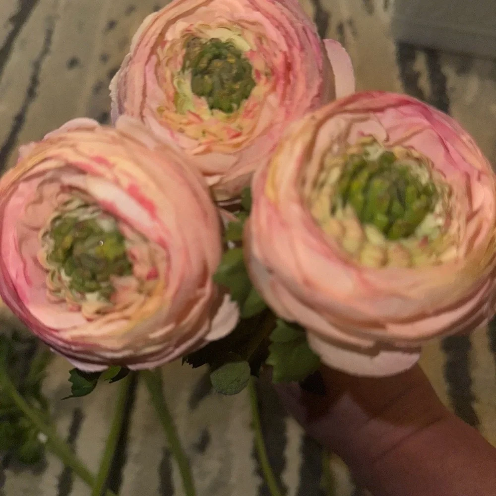 Z Gallerie  Exquisite Ranunculus Stems The Epitome of Romantic Elegance set of 9